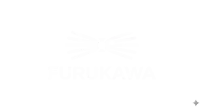 Furukawa Fiber Optic Infrastructure AIS